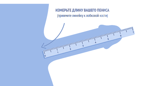 Ұзындықты өлшеуге арналған уақытша сурет